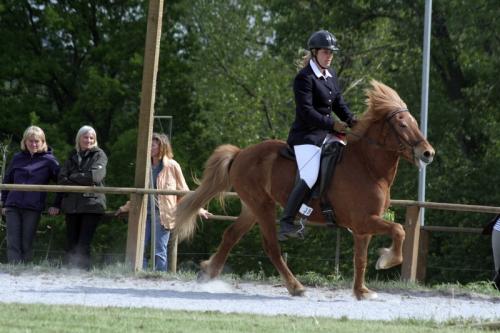 mg 0136 bildgre-ndern