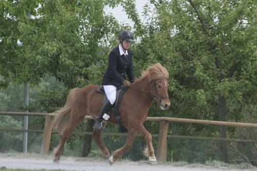 mg 0139 bildgre-ndern