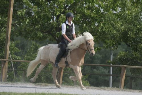 mg 0142 bildgre-ndern