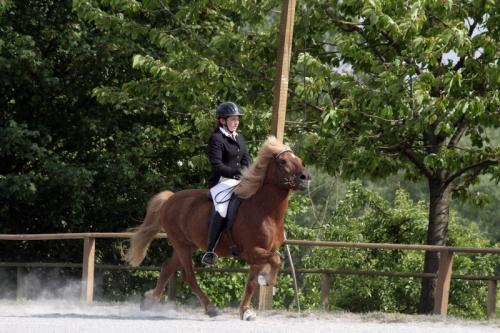 mg 0148 bildgre-ndern