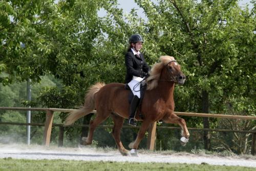 mg 0150 bildgre-ndern