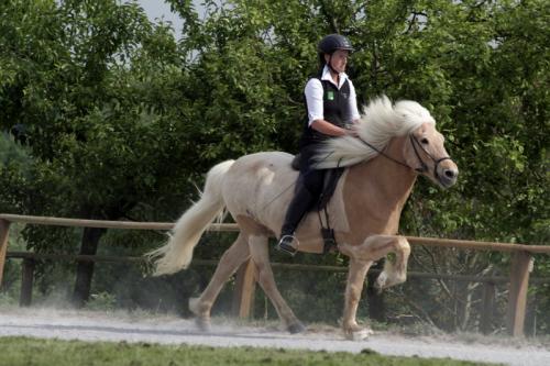 mg 0158 bildgre-ndern