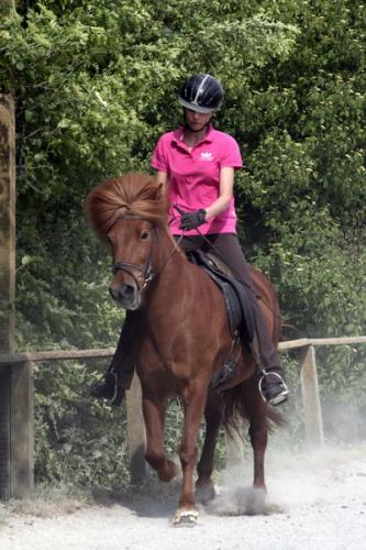 mg 0161 bildgre-ndern