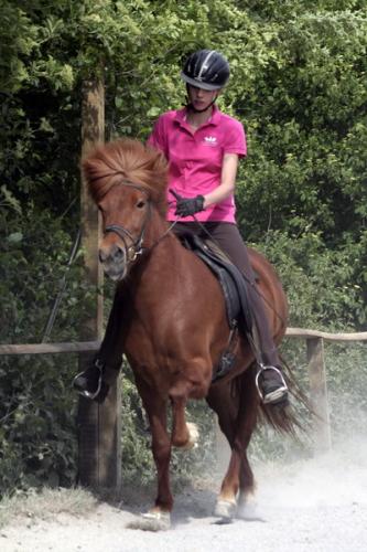 mg 0162 bildgre-ndern