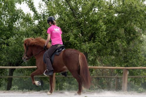 mg 0163 bildgre-ndern