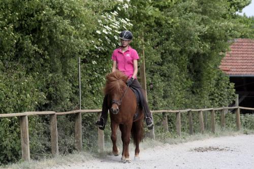 mg 0165 bildgre-ndern