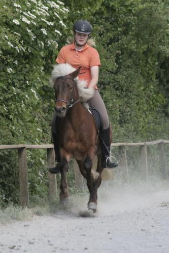 mg 0169 bildgre-ndern