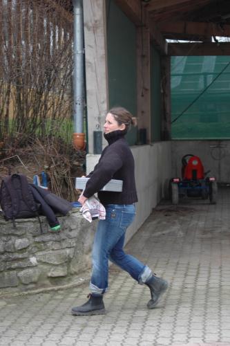 dsc 1175 grennderung