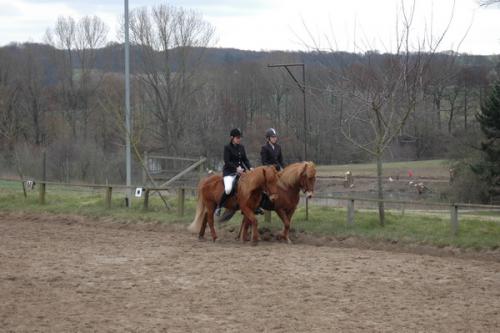 dsc 1185 grennderung