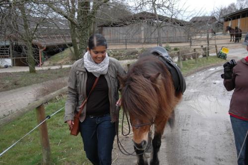 dsc 1191 grennderung