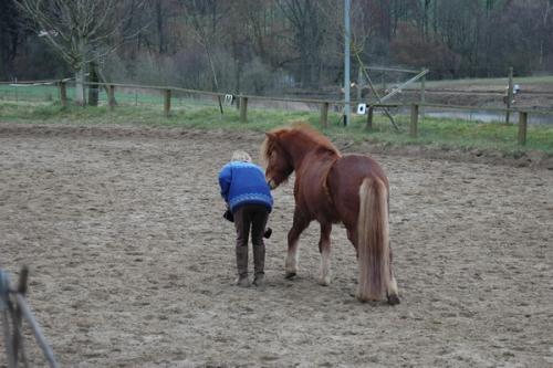 dsc 1192 grennderung