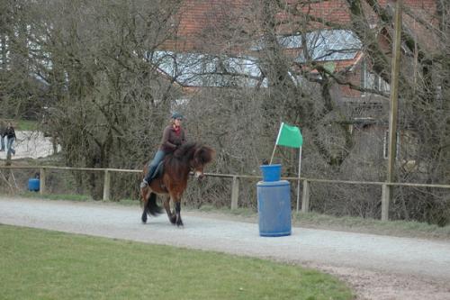dsc 1209 grennderung