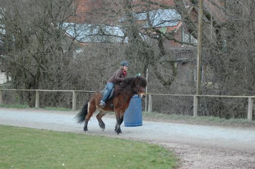 dsc 1211 grennderung