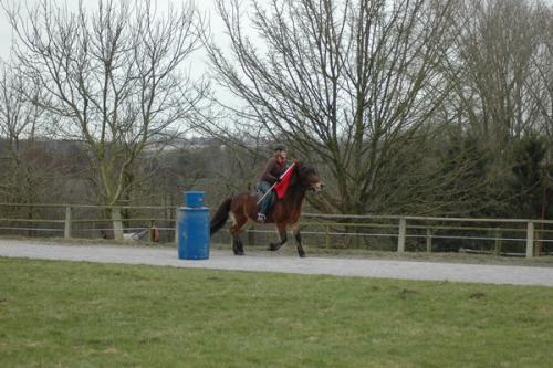 dsc 1212 grennderung