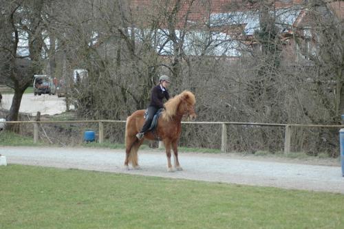 dsc 1214 grennderung