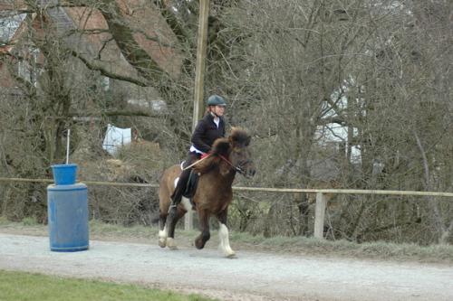 dsc 1221 grennderung