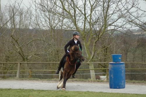 dsc 1223 grennderung