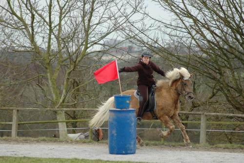 dsc 1227 grennderung