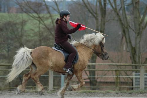 dsc 1228 grennderung