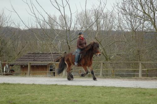 dsc 1230 grennderung