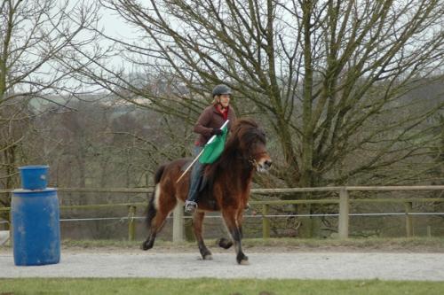 dsc 1231 grennderung