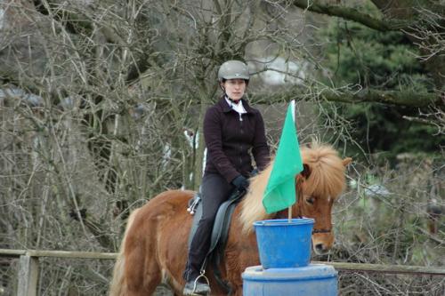 dsc 1232 grennderung