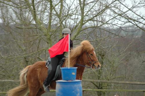 dsc 1234 grennderung