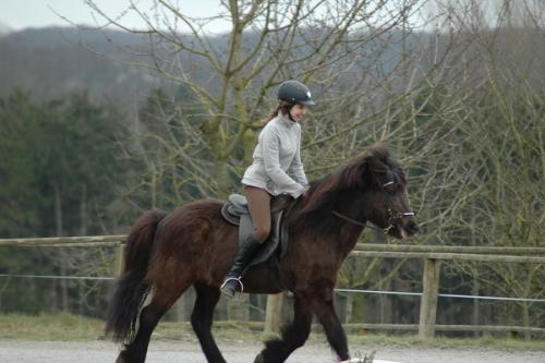 dsc 1236 grennderung