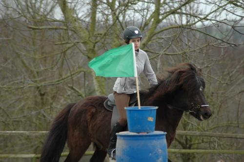 dsc 1237 grennderung