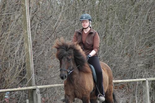 dsc 1243 grennderung