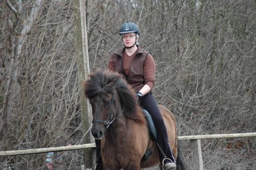 dsc 1244 grennderung