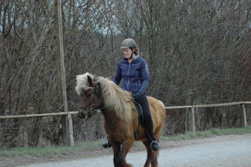 dsc 1246 grennderung