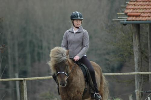 dsc 1248 grennderung