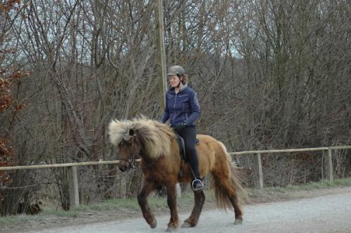 dsc 1251 grennderung