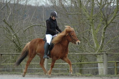 dsc 1252 grennderung