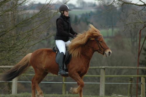 dsc 1253 grennderung