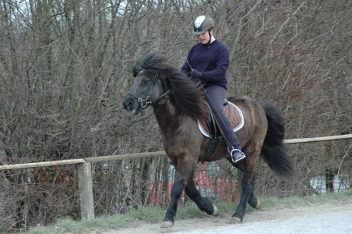 dsc 1257 grennderung