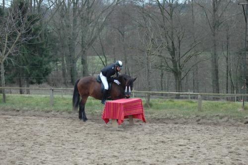 dsc 1289 grennderung