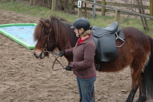 dsc 1291 grennderung