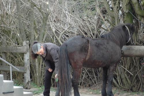 dsc 1303 grennderung