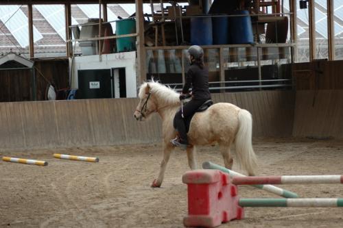 dsc 1304 grennderung