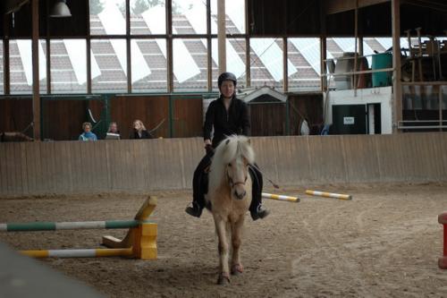 dsc 1306 grennderung