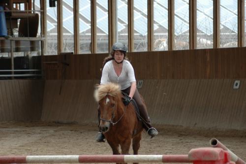 dsc 1308 grennderung