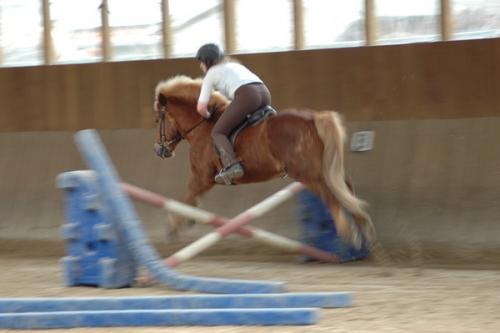 dsc 1310 grennderung