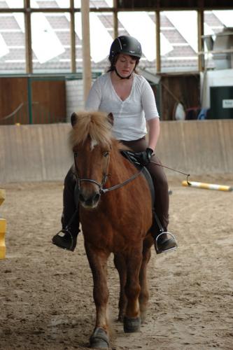 dsc 1312 grennderung