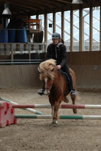 dsc 1313 grennderung