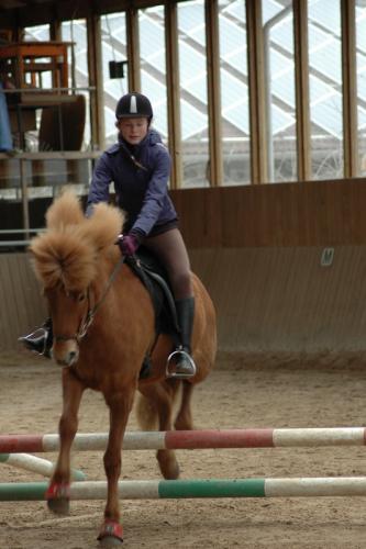 dsc 1315 grennderung