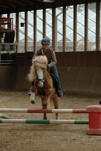 dsc 1317 grennderung