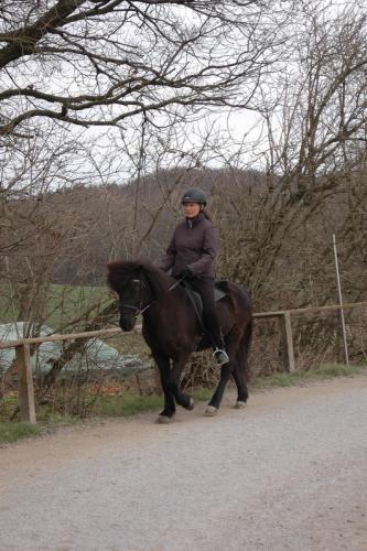 dsc 1330 grennderung