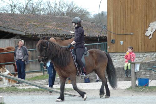 dsc 1338 grennderung